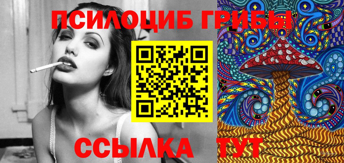 Галлюциногенные грибы мицелий Александров