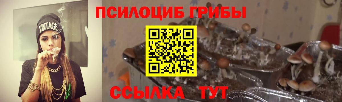 Галлюциногенные грибы Cubensis  Вход с VPN  Александров  Псилоцибиновые грибы мухоморы 